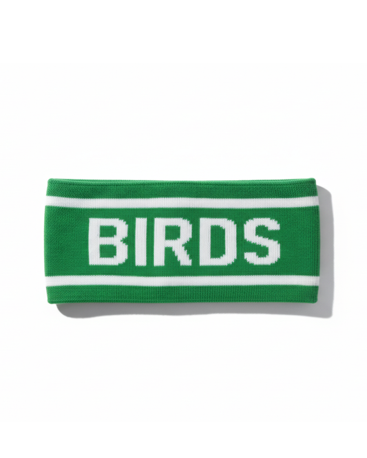 Kelly Green BIRDS Ski Headband from South & Green on a white background.