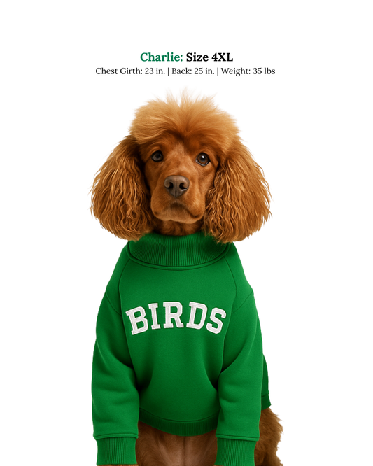 Temporary image of Charlie wearing South & Green's BIRDS Varisty Barkneck in the size 4XL. 